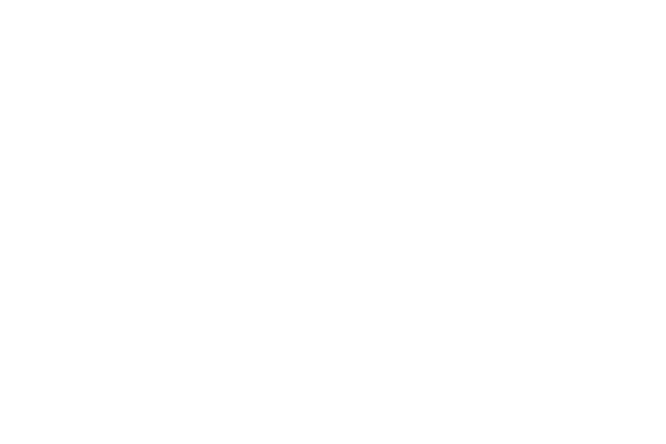 Home Prime Essentials