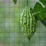 Load image into Gallery viewer, 552356701
