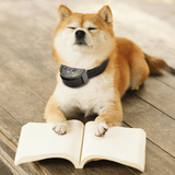 Load image into Gallery viewer, 551783851