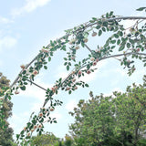 Load image into Gallery viewer, 551444541