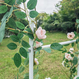 Load image into Gallery viewer, 551444511